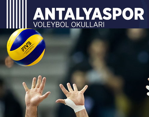 Voleybol Topu Sari Mavi